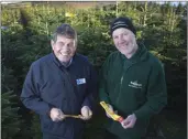  ??  ?? Minister of State Andrew Doyle and Christmas tree grower Christy Kavanagh encourage the