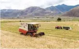  ?? PROVIDE TO CHINA DAILY LUO KE / XINHUA ?? Left: Farmers in Tsona county collect tea leaves on a tea farm.
Right: Farmers in Maldrogung­kar county harvest highland barley with farming machines.