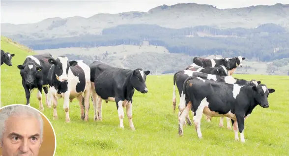  ?? Photos / NZME ?? Dairy farms and meat-processing plants will receive a boost. INSET: Forestry Minister Stuart Nash says it will help the sector ahead of a busy period.