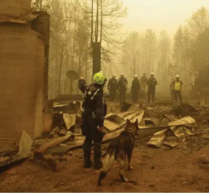  ?? pHOTOS cOuRTESy TASk fORcE 1 ?? WHERE THERE’S SMOKE: Members of Massachuse­tts Task Force 1 work in Oregon at a site destroyed by wildfires.