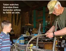  ??  ?? Talon watches Grandpa Dave bend the willow to form an arm.