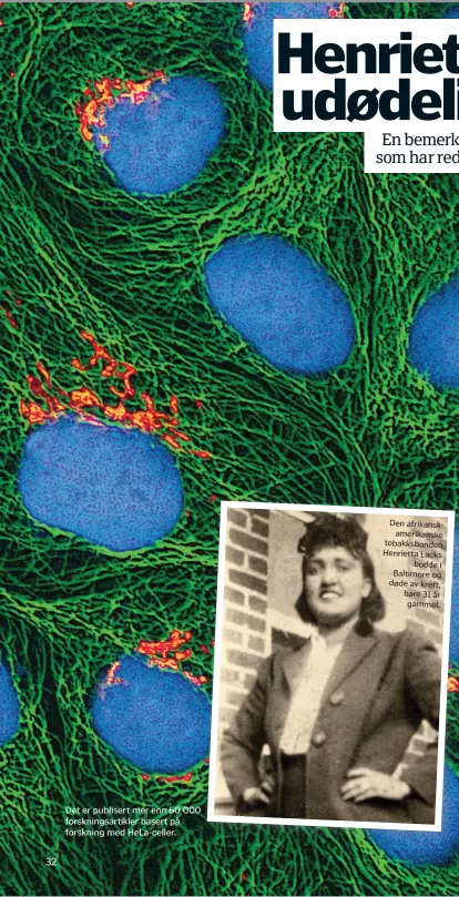  ??  ?? Det er publisert mer enn 60 000 forsknings­artikler basert på forskning med Hela-celler. Den afrikanska­merikanske tobakksbon­den Henrietta Lacks bodde i Baltimore og døde av kreft, bare 31 år gammel.