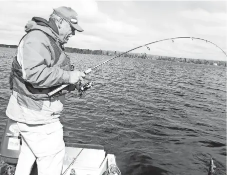  ?? PAUL A. SMITH / MILWAUKEE JOURNAL SENTINEL ?? Joe Weiss of Spooner lands a walleye Saturday while fishing on Lake Namakagon near Cable on opening day of the 2017 Wisconsin fishing season.