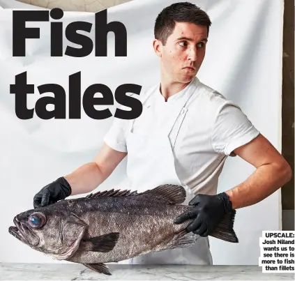  ??  ?? UPSCALE: Josh niland wants us to see there is more to fish than fillets