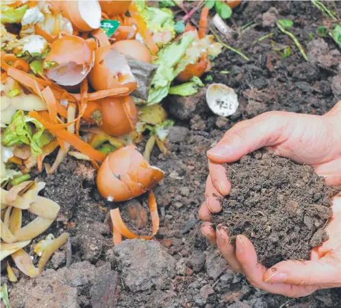  ?? ?? Use kitchen scraps, fallen leaves, old paper, lawn clippings and any organic matter that will decompose to create your own compost.