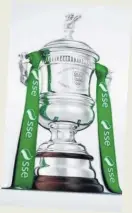  ??  ?? The SSE Womens FA Cup.