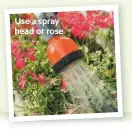  ??  ?? Use a spray head or rose