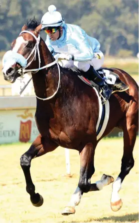  ??  ?? BOAT-RACE. Orpheus is the selection to beat Daffiq and take the spoils in Race 4 when racing returns to the Vaal Classic track tomorrow.