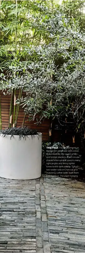  ??  ?? THIS PAGE The key elements in the garden are shape and colour, epitomised by the round white and timber planters. Their circular shapes interrupt the space’s many right angles and bring lighter tones to the dark palette. Tulloch two-seater sofa in Charcoal and matching coffee table, both from Eco Outdoor. The plant hanging over the table is Rhipsalis.