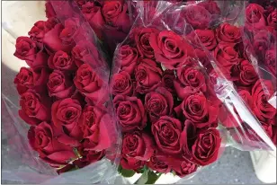  ?? TED WARREN — THE ASSOCIATED PRESS PHOTO ?? Bunches of red roses await Valentine’s Day Sunday.