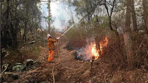  ??  ?? HARD WORK: A Ballandean Rural Fire Brigade firefighte­r at work containing a bushfire on the NSW border which has torn through more than 40,000 hectares at the Girraween National Park since it started more than a week ago.