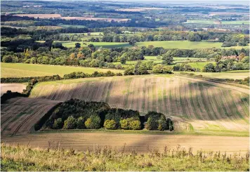  ??  ?? A world away from London: on the Hampshire-Berkshire borders, a sense of solidarity and purpose is bringing communitie­s together