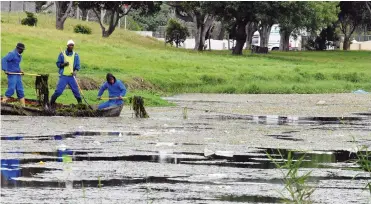  ?? Picture: David Ritchie/African News Agency (ANA) ?? CLEARER WATERS: Active communitie­s have played a role in cleaning up the Liesbeek River and maintainin­g its well-being.