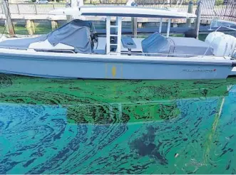  ?? JOE CAVARETTA/SUN SENTINEL ?? Residents in the “Venice of America” are complainin­g about the green goo covering formerly picturesqu­e waterways as seen Thursday. Yachts off Las Olas Boulevard, the city’s premier corridor, are floating in green slime.