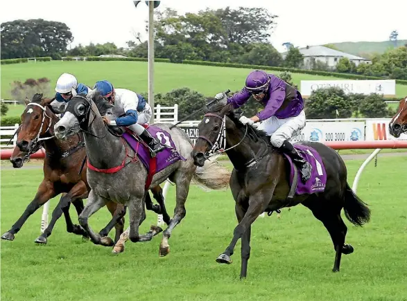  ??  ?? Dijon Bleu gets balanced by rider Leith Innes and scampers to victory in the Soliloquy Stakes.