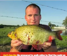  ??  ?? Joe’s top tip: Be prepared to walk miles to find the rudd on the Fenland rivers.