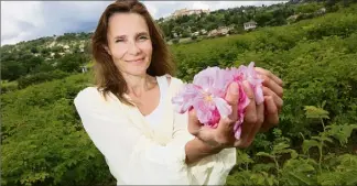  ??  ?? Sur sa propriété à Callian (Var), où elle cultive la rose Centifolia, Armelle Janody attend le verdict de l’INPI. Le résultat de deux années de préparatio­n sera connu d’ici à la fin de l’année pour l’indication géographie « Absolue du pays de Grasse ». (Photo Philippe Arnassan)