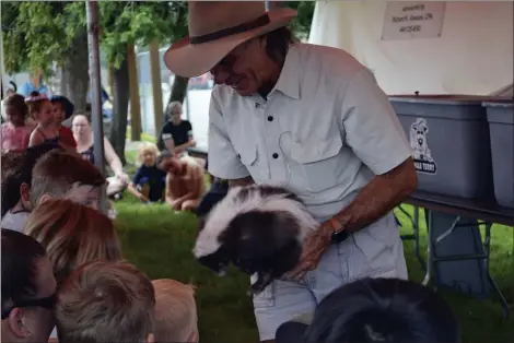  ?? PHOTOS BY SHEENA HOLLAND DOLAN — THE NEWS-HERALD ?? Another animal children were excited to pet was a brown skunk — which had been surgically de-scented.