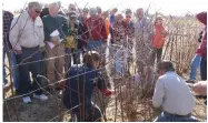  ?? ?? A 2014 file photo shows a pruning workshop at the Fruit Research Station near Clarksvill­e where another session will be held Feb. 28, 2023. Making the right cuts at the right time can enhance plant health and productivi­ty. (Special to The Commercial/University of Arkansas System Division of Agricultur­e)