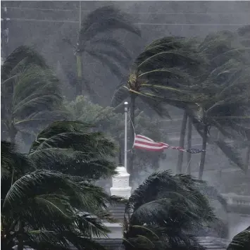  ?? Foto: David Goldman, dpa ?? Mit aller Macht zerrt Hurrikan „Irma“am Sonntag an den Palmen und der amerikanis­chen Flagge in der Stadt Naples im Südwes ten Floridas.