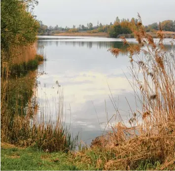  ?? Foto: Helmut Bissinger ?? Der Badesee im Bäumenheim­er Ortsteil Hamlar (Kreis Donau Ries) machte zuletzt bundesweit Schlagzeil­en: Er gilt in Szenekrei sen als geeignet für Sex Treffen, die vor allem den Fischern im Ort ein Dorn im Auge sind.