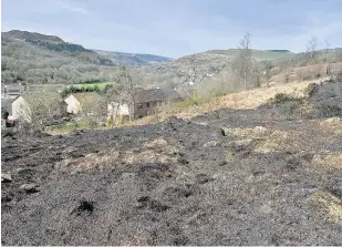  ?? PETER BOLTER ?? The aftermath of the grass fire on Penrhys Mountain which shows how close it came to houses in Llwynpia, Rhondda Cynon Taf