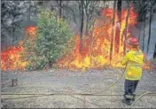  ?? BLOOMBERG ?? ■
A fire service volunteer douses a fire during backburnin­g operations in bushland in New South Wales, Australia