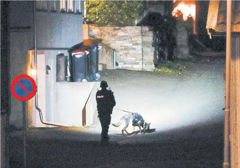  ?? AFP ?? A police officer uses a sniffer dog at the scene in Kongsberg, Norway after a man armed with bow killed several people before he was arrested.