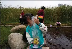  ?? ?? A child holds up a plastic bag containing baby ducks Oct. 29 as she walks past a pond and plants at the “Fish Tail” sponge park built on a former coal ash dump site in Nanchang in north-central China’s Jiangxi province.