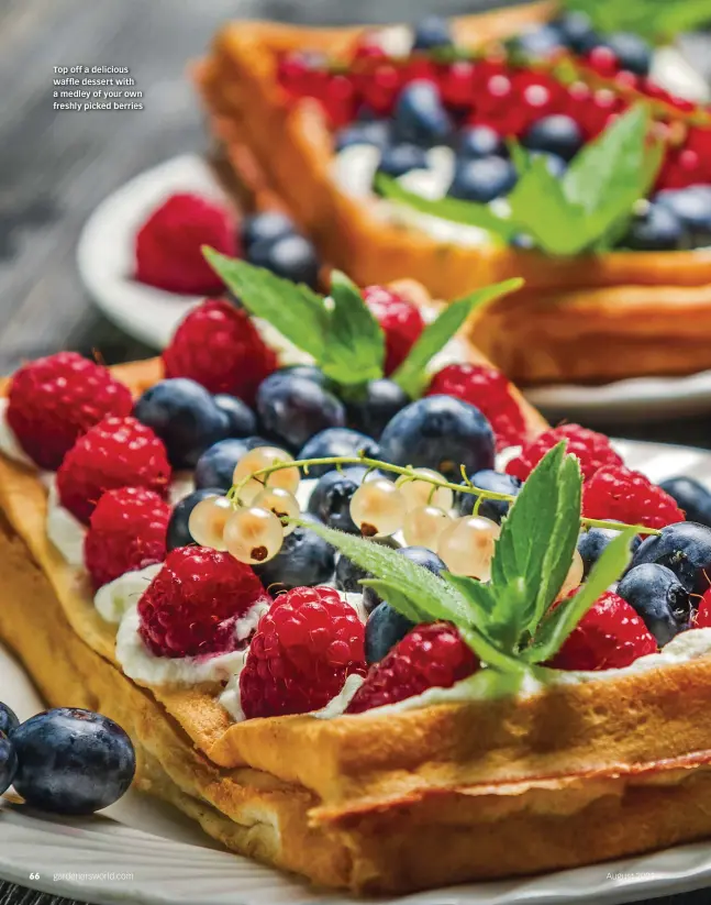  ??  ?? Top off a delicious waffle dessert with a medley of your own freshly picked berries