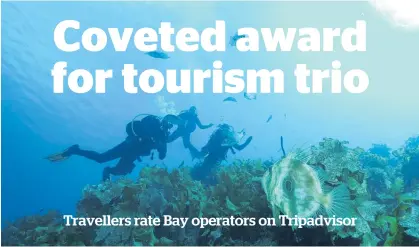  ??  ?? Travellers rate Bay operators on Tripadviso­r
Paihia Dive, winner of the Tripadviso­r Travellers’ Choice Award for the 10th year in a row.