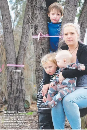  ?? Picture: ALISON WYND ?? ON THE MOVE: Cassandra Sandy with sons Ezekiel, 4, Mannix, 3, and Ollie, 10 months, beside trees earmarked for removal for the new children’s centre.