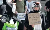  ?? PICTURE: EPA ?? ON THE ICE: Greenpeace activists dressed up as penguins hold a sign, “Homeless penguins looking for some ice”, in protest against the decision of the US government to leave the Paris climate deal, in front of the US embassy in Bern, Switzerlan­d,...