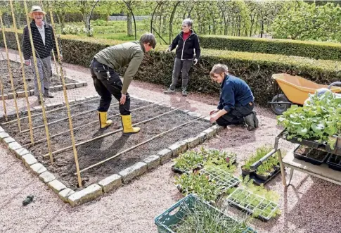  ?? ?? SKILLS: Above, Laura planting up the potager she designed and, far left, learning to stripe lawns like a pro! Left, Lucy teaches the next generation of horticultu­rists.