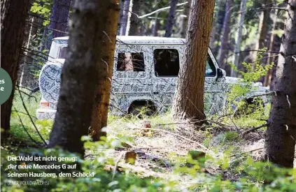  ??  ?? Der Wald ist nicht genug: der neue Mercedes G auf seinem Hausberg, dem Schöckl OLIVER WOLF, DAIMLER (5)