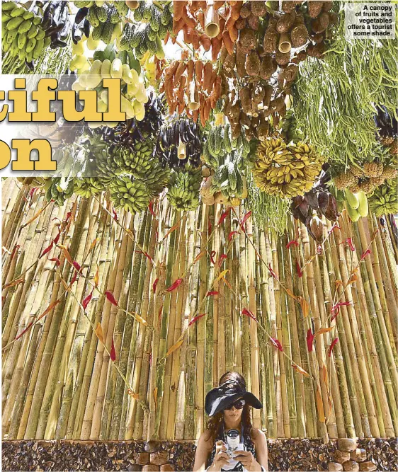  ?? Photos by GEORGE TAPAN ?? A canopy of fruits and vegetables offers a tourist some shade.