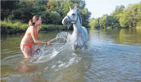  ?? FOTO: THOMAS WARNACK ?? Melissa nimmt mit ihrem Araber „Paris“ein Bad in der Donau.