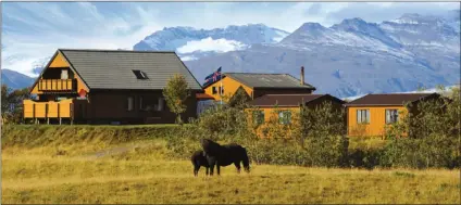  ??  ?? HOMESTEAD: A typical scene: a wooden farmhouse and Icelandic horses.