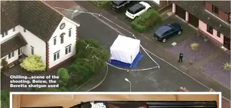  ?? Pictures: SKY & SUFFOLK POLICE ?? Chilling...scene of the shooting. Below, the Beretta shotgun used