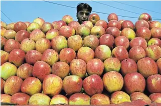  ?? Reuters ?? Base of the economy: A Kashmiri vendor stands behind a pile of apples at a market place in Srinagar, the main city of Kashmir.
/