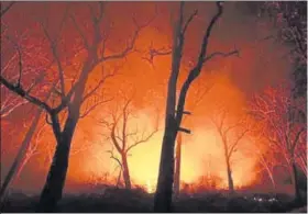  ?? HT PHOTO ?? The prevailing drought condition in the state, due to deficient rainfall for the third consecutiv­e year, has worsened the forest fires.