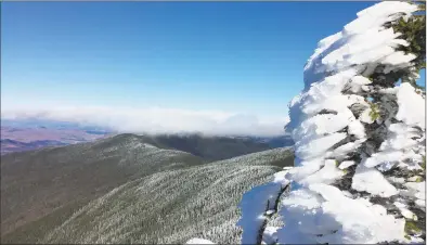  ?? Rob McWilliams / For Hearst Connecticu­t Media / Contribute­d Photo ?? Rime icecovered conifer on Carter Dome.