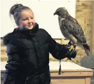  ??  ?? Hawk eye World of Wings kestrel eyes up this Beverley Park kid