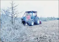  ?? - Crédits : FDC12 ?? La restaurati­on des pelouses sèches sur le causse de Rodelle requiert de minutieux travaux.