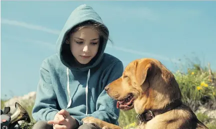  ?? MAGNOLIA PICTURES ?? Zsofia Psotta as Lili and her dog Hagen (played alternatel­y by canines Body and Luke) in White God, a surreal narrative.