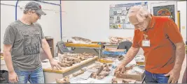  ?? Elizabeth Brumley Las Vegas Review-journal ?? Graduate student Eric Chameroy, left, and Steve Rowland, emeritus geology professor at UNLV and lab manager at the Las Vegas Natural History Museum, examine Ice Age fossils Aug. 13 at the Las Vegas Natural History Museum.