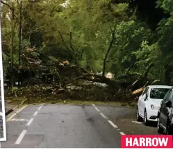  ??  ?? A huge tree has blocked this road in north-west London