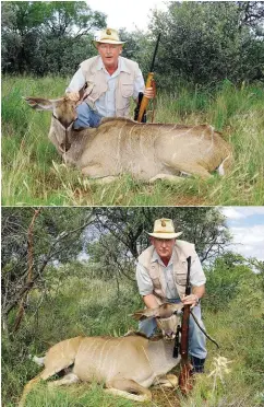  ??  ?? The kudu cow in the top picture was the wounded one whilst the one in the photo above was the cow that I killed first. I did not see her go down and thought that I had missed. The guide thought I wanted another kudu and did not tell me about this one.