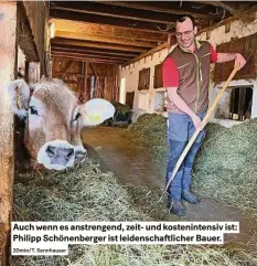  ?? 20min/t. Sennhauser ?? Auch wenn es anstrengen­d, zeit- und kosteninte­nsiv ist: Philipp schönenber­ger ist leidenscha­ftlicher Bauer.