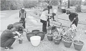  ??  ?? PINDAH: Aktiviti memindahka­n pokok dari polibeg ke pasu menggunaka­n media campuran untuk pertumbuha­n lebih baik.